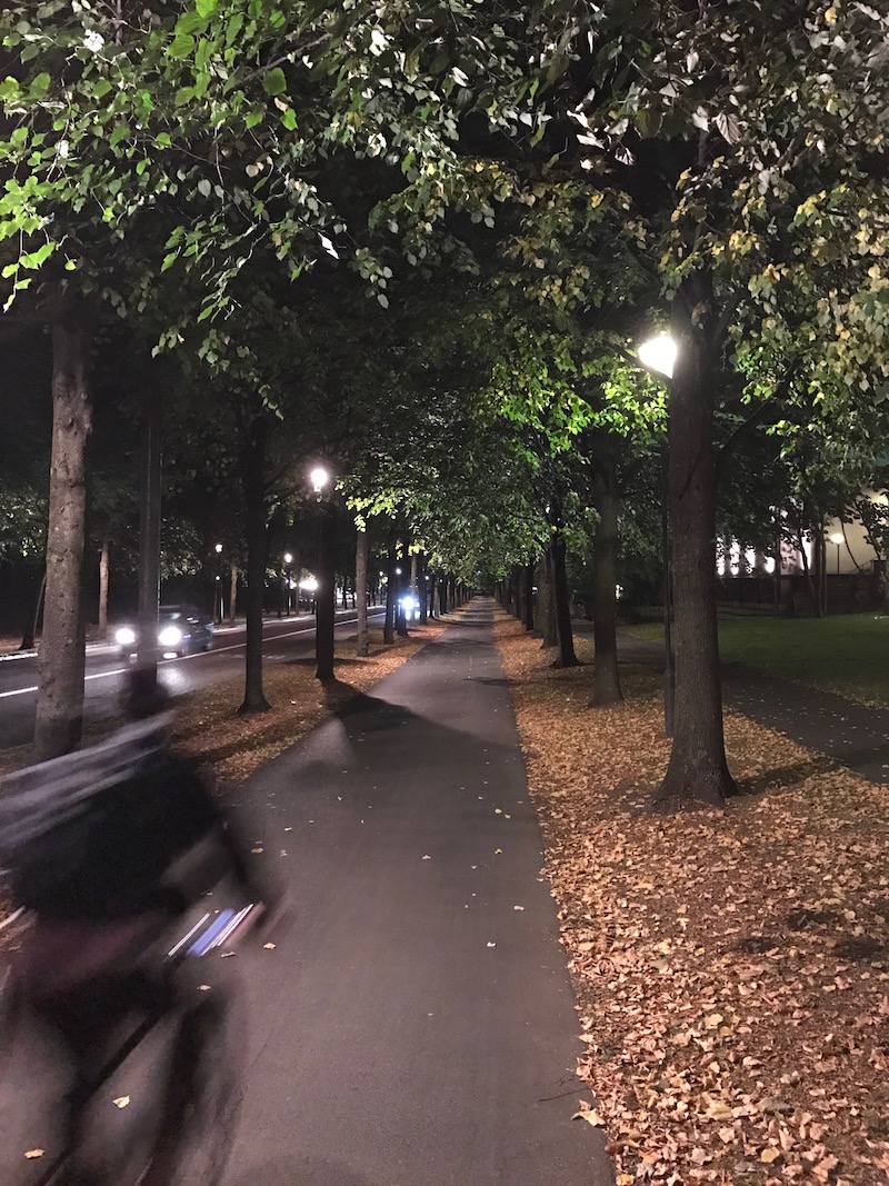 Autumny bicycle path