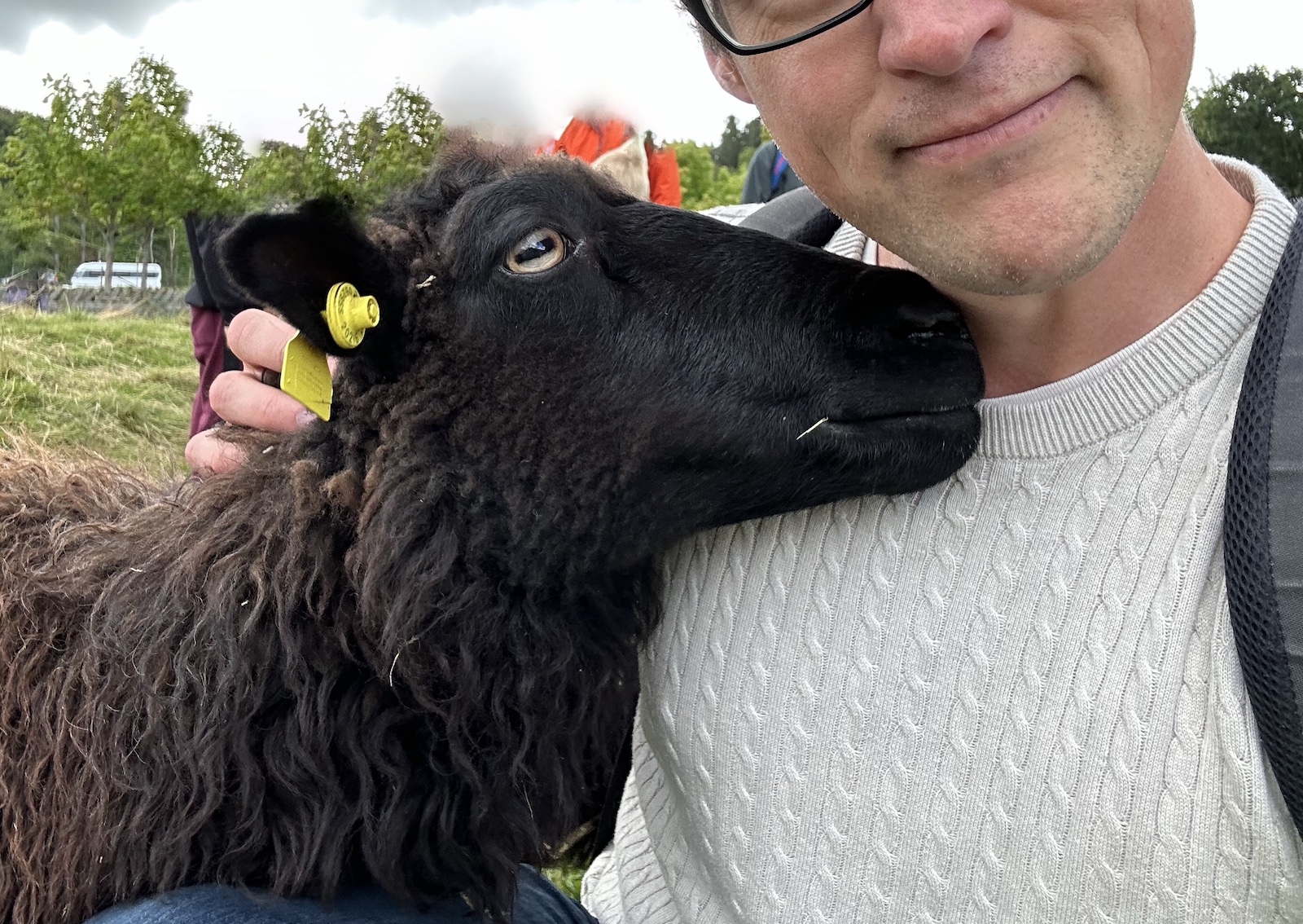 Sheep snuggling up to me