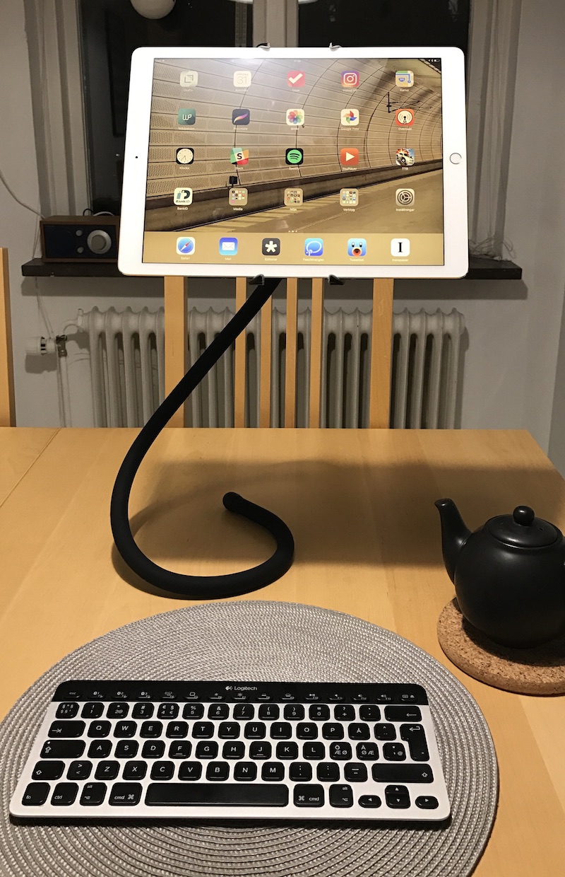 The Spider monkey Ipad stand