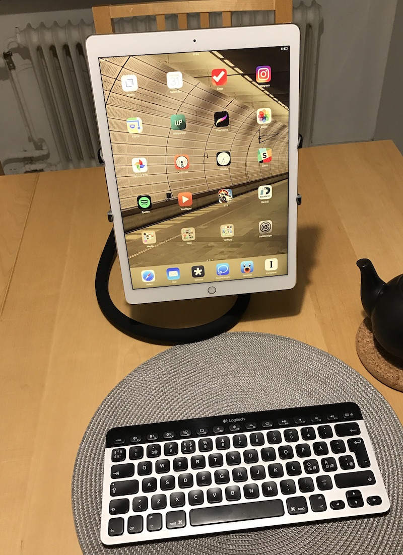 The Spider monkey Ipad stand